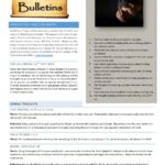 Resources-for-Vocations-Sunday-2019-page-004