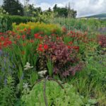 293389422_1088586955085184_8588148096343237898_n